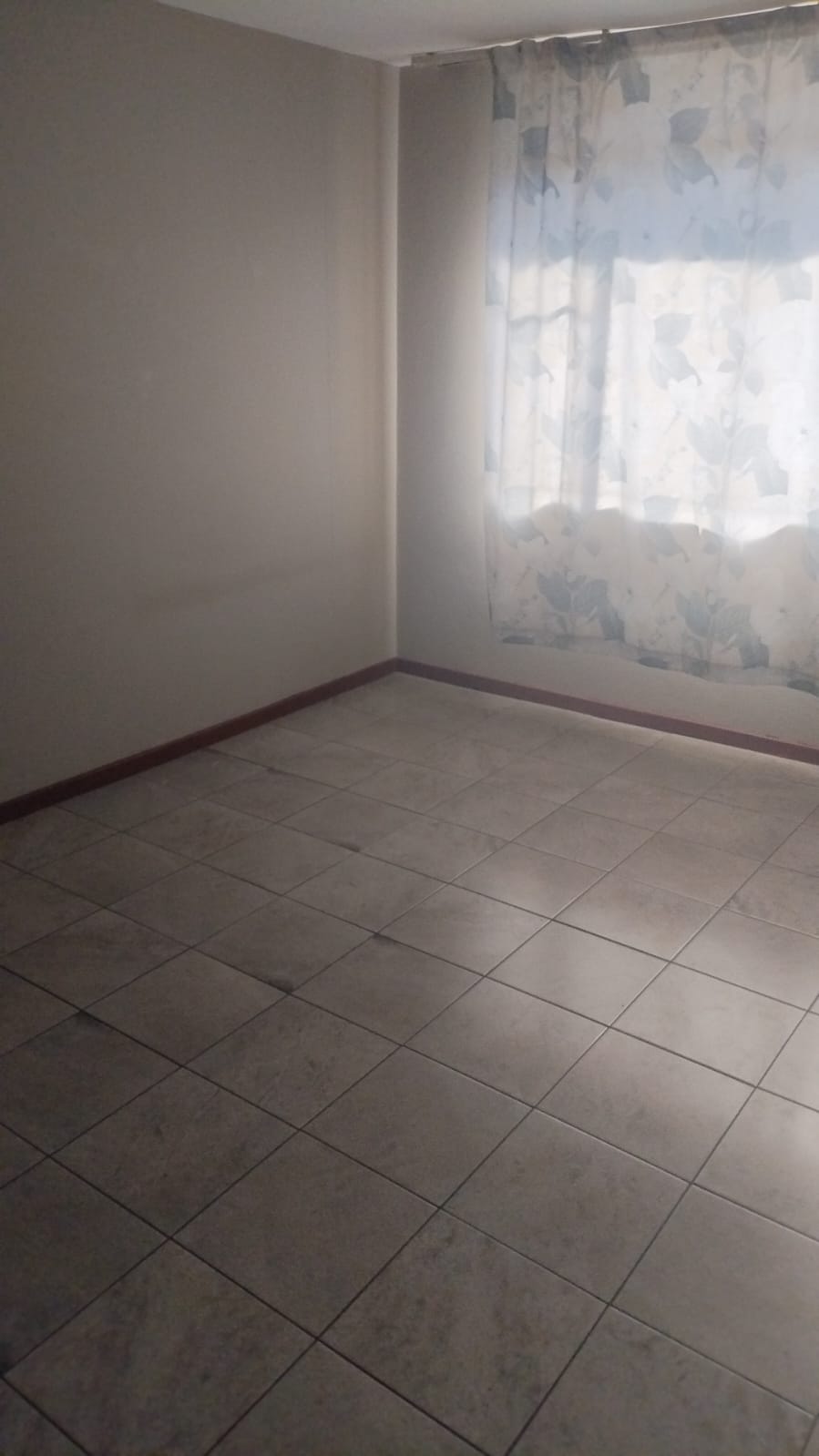 Room at Villa Palms 2