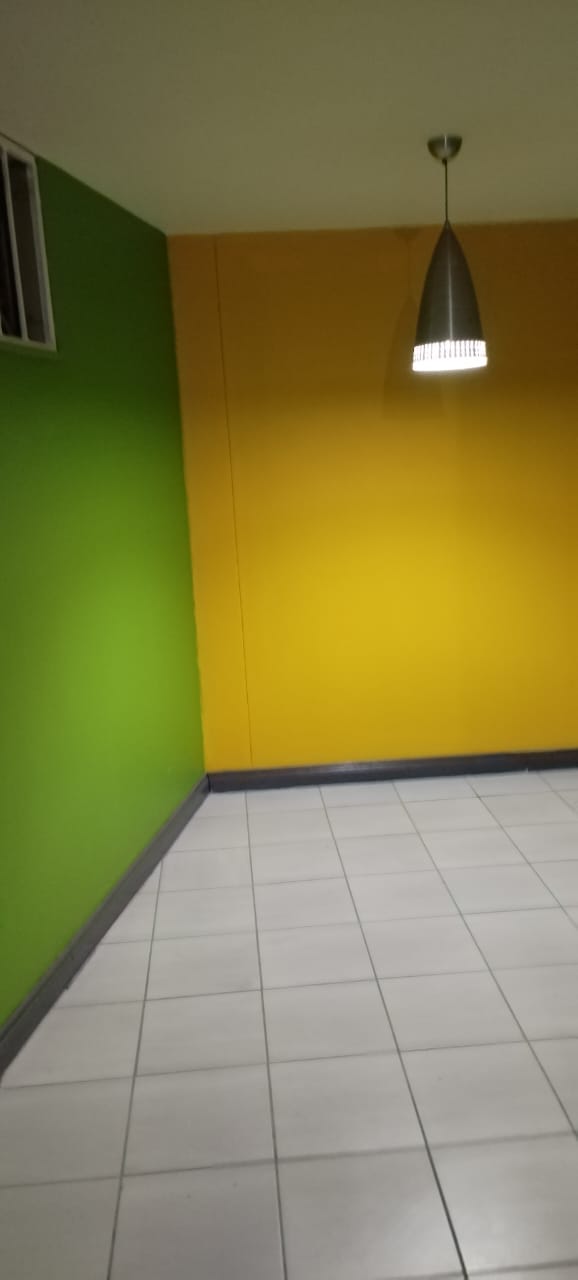 Accent-painted living space